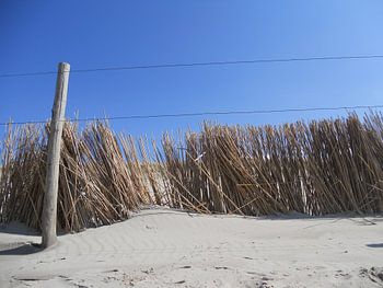 Beach and blue sky