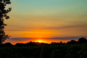 Sonnenuntergang in der Provence von Ankie Kooi