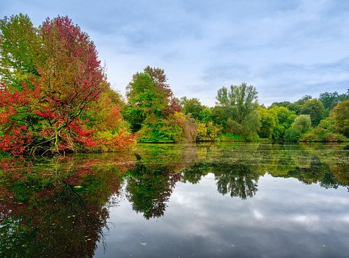 Autumn forest near the water