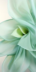 Danse des fleurs