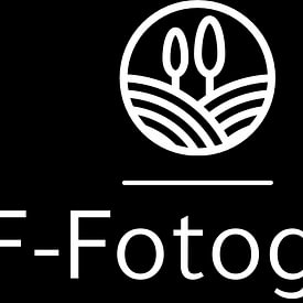 BTF Fotografie profielfoto
