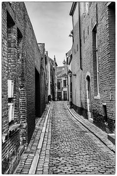 Steegje in Gent van Lieven Lema