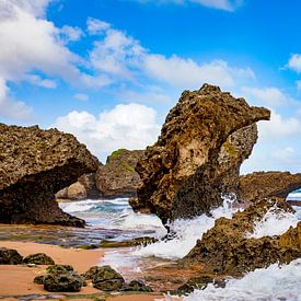 Barbados, Bathsheba Beach, Kleine Antillen von AidasignArt