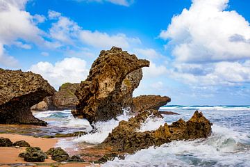 Barbados, Bathsheba Beach, Lesser Antilles by AidasignArt