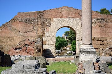 Ruins of Basilica Aemilia by Frank's Awesome Travels