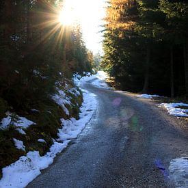 La route de la montagne vers le soleil sur Ginkgo Fotografie