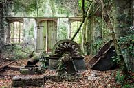 Verlaten waterkrachtcentrale - verslonden door planten van Times of Impermanence thumbnail