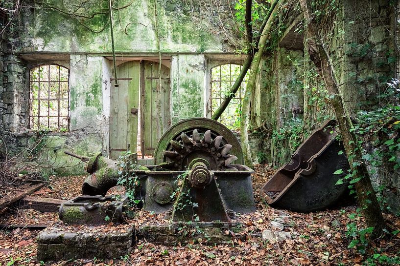 Verlaten waterkrachtcentrale - verslonden door planten van Times of Impermanence