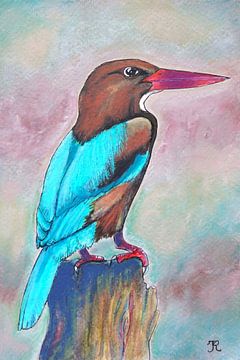 White-throated Kingfisher by Irina Rammos