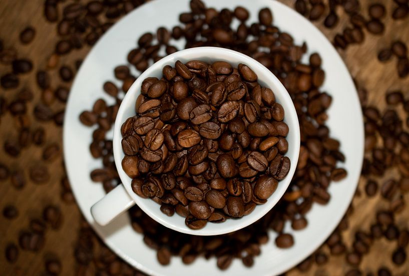 Kaffeebohnen in einer Kaffeetasse auf einem Teller von lars beumer