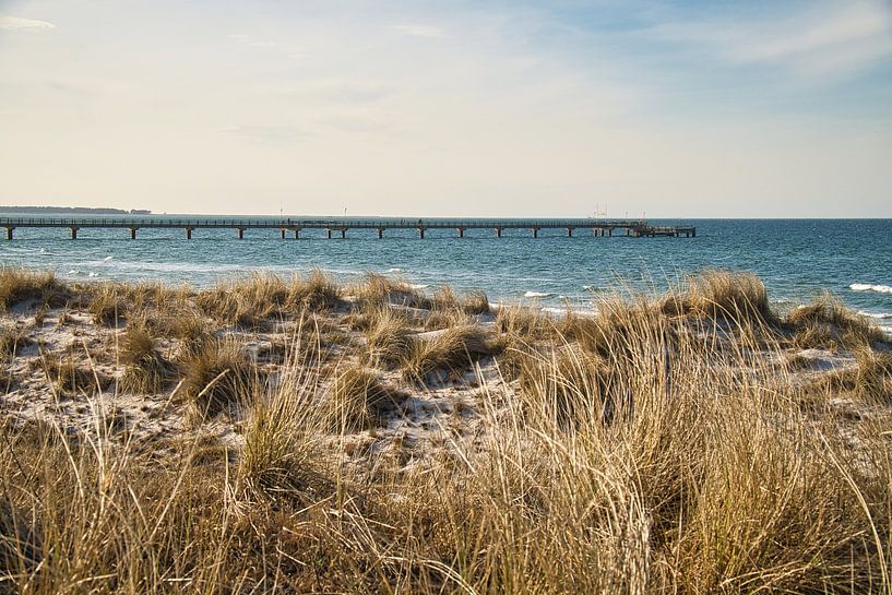Groyne in Zingst aan de Baltische Zee, die in zee reikt. van Martin Köbsch