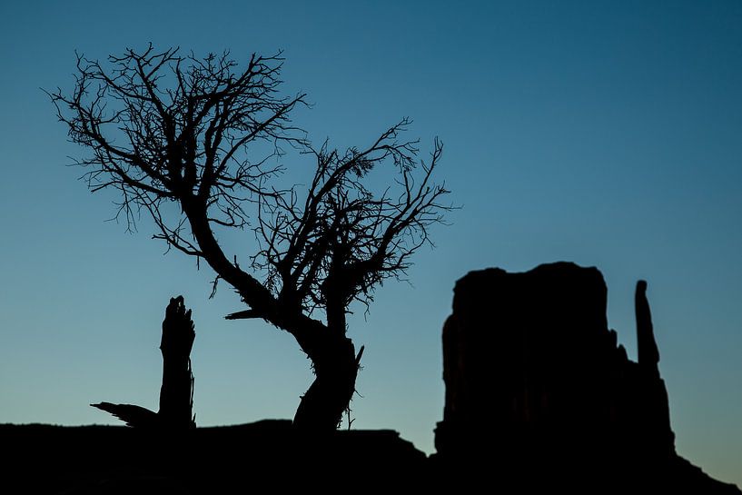 Monument Valley against the evening sky by Peter Leenen