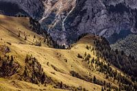Mountain hut