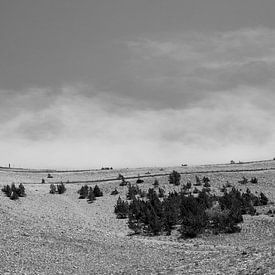 Het zendstation als kleurrijk baken op de Mont Ventoux van Beeldpracht by Maaike