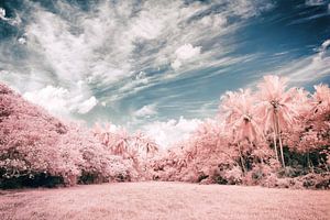 Unawatuna Infrared