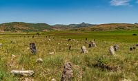 Nursery of the Mountains