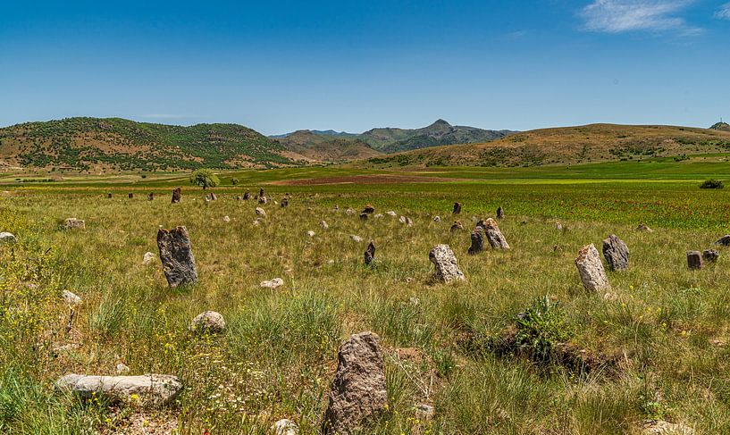 Nursery of the Mountains by Roland's Foto's