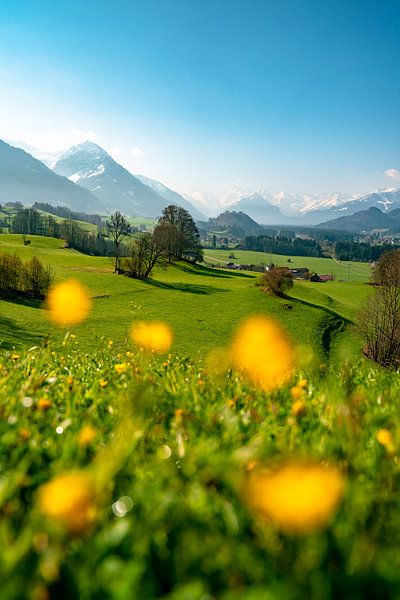 Spring feelings in the Allgäu with snow in the mountains by Leo Schindzielorz