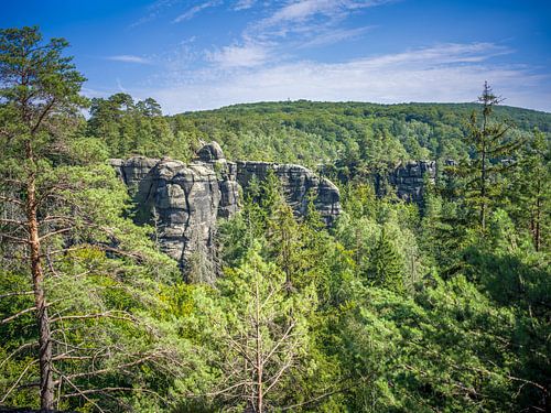 Uitzicht vanaf de Lehnsteig wandelroute (Saksisch Zwitserland)