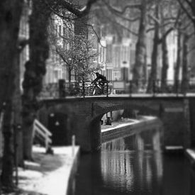 Utrecht, Netherlands, cyclist on the Nieuwe Gracht von Robert-Jan van Lotringen