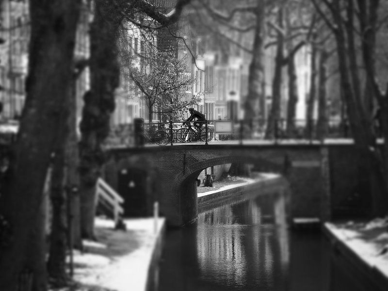 Utrecht, Netherlands, cyclist on the Nieuwe Gracht par Robert-Jan van Lotringen