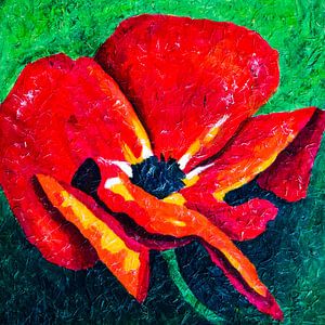 coquelicot sur Lida Bruinen