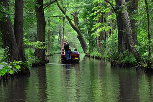 Kahnfahrt im Spreewald