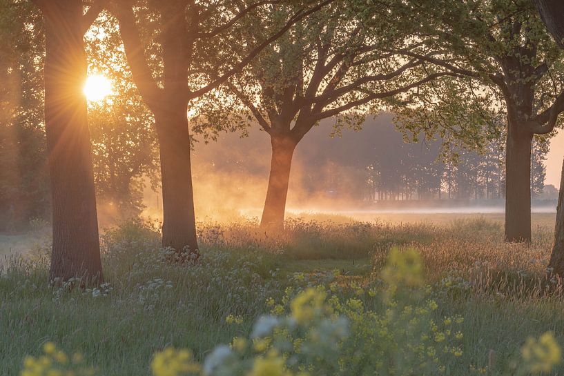 atmospheric sunrise by Tania Perneel