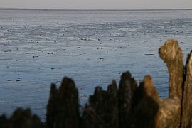 Moddergat, Waddenzee