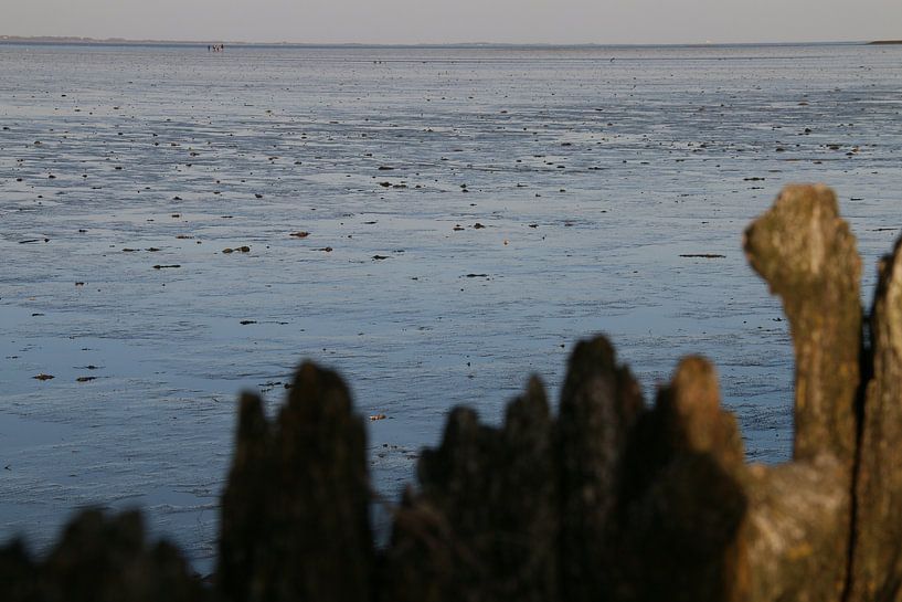 Moddergat, Waddenzee by Taco Ruiten
