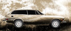 Volvo P1800 ES en chamois antique