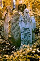 Hall of Fame at Abney Park cemetery, London