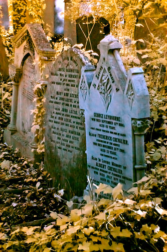 Hall of Fame at Abney Park cemetery, London