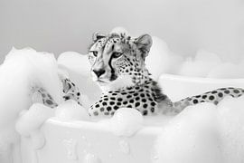 Cheetah in the bathtub - A funny bathroom picture by Poster Art Shop