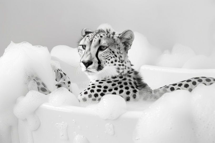 Gepard in der Badewanne - Ein lustiges Badezimmer Bild von Poster Art Shop