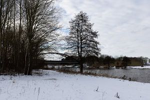 Ein sonniger Wintertag an der Ems