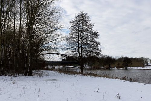 Een zonnige winterdag op de Ems