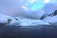 Icebergs Antarctica by G. van Dijk thumbnail