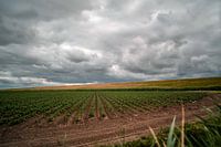 Dunkle Wolken über einem Graben und einer Weide in den Niederlanden