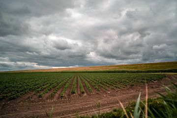 Dunkle Wolken über einem Graben und einer Weide in den Niederlanden von Jolien Kramer