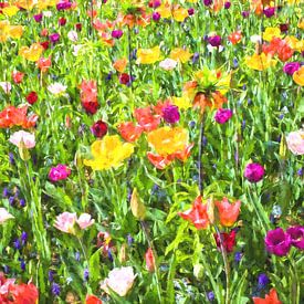 Schöne bunte Wildblumen von Patricia Hofmeester
