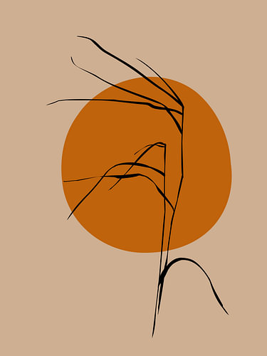 Reed in sunset