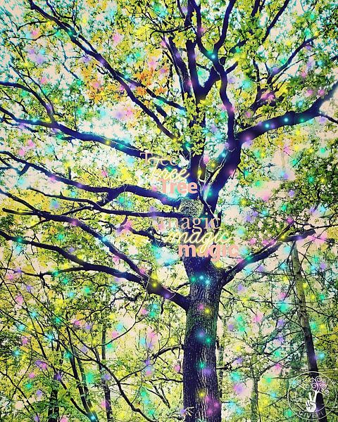 Tree Magic van treesgivepeace.nl