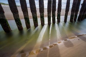 Seawall piles with shadow sur Mark Scheper