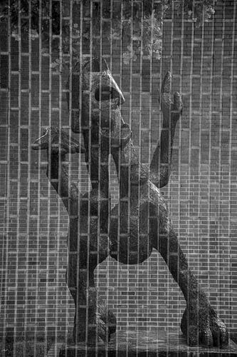 In passing by bicycle or car