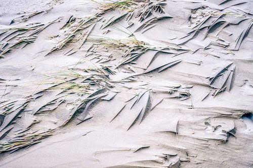 Motifs et formes dans le sable des dunes avec l'ammophile.