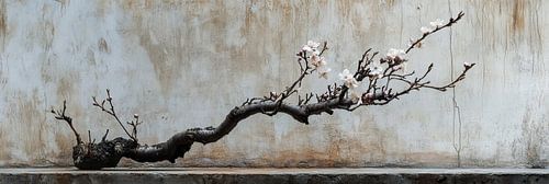 Pure Bloesem Schoonheid op Hout Panorama