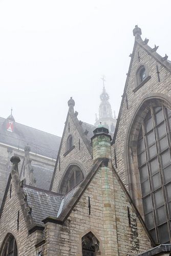 Sint-Janskerk in Gouda in de mist