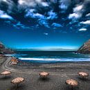 Alien Beach van Harrie Muis thumbnail