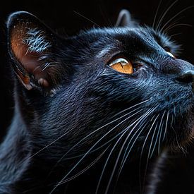 zwarte kat van PixelPrestige
